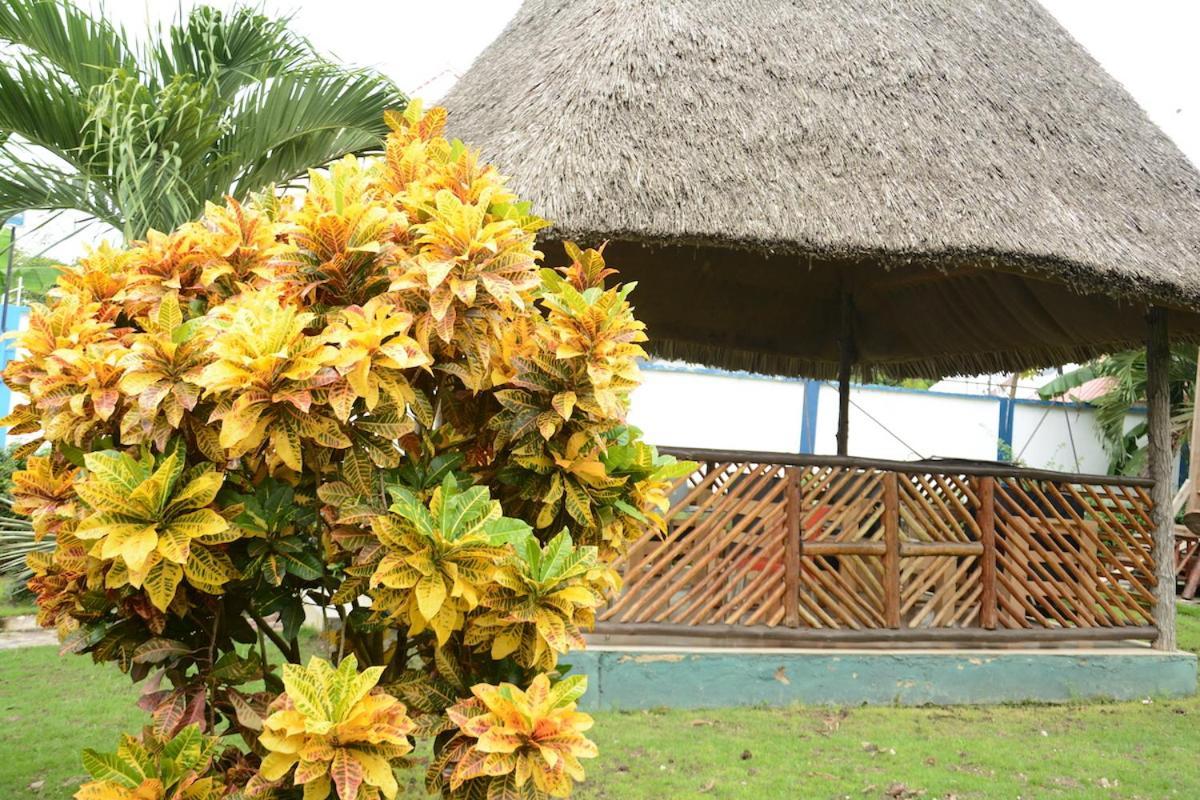 Kimere Resort Bagamoyo Exterior photo